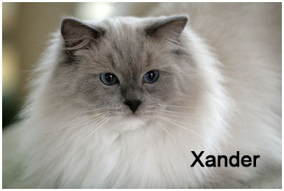 Xanadu22